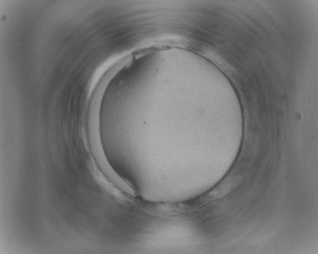 X0000075890960200610151748