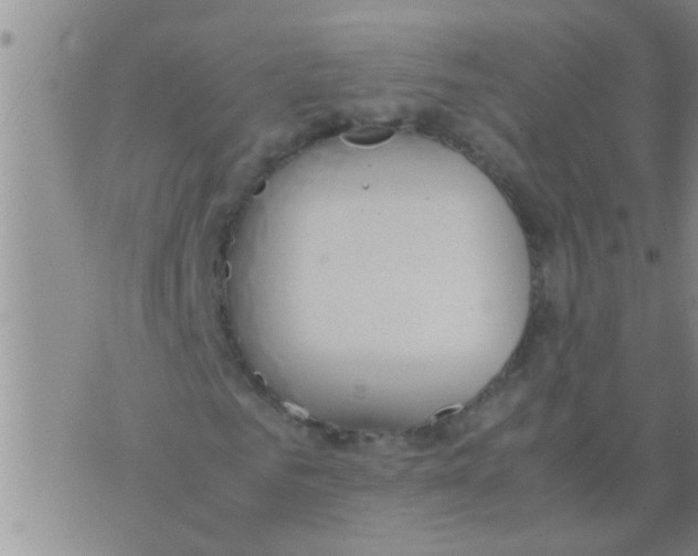 X0000075890961200610151747