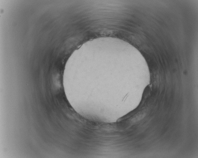 X0000075890962200610151747