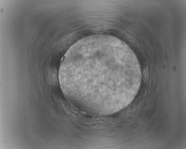 X0000075890963200610151747