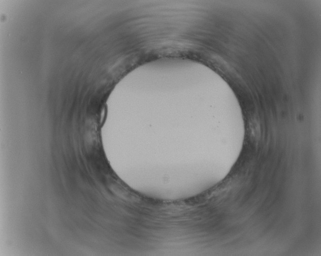 X0000075890964200610151747