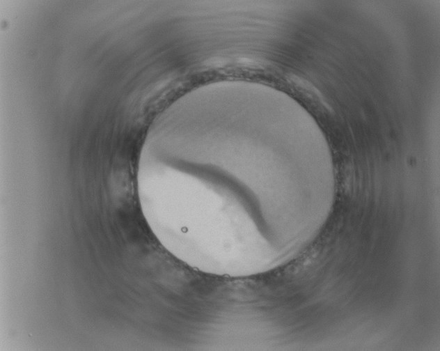 X0000075890966200610151747