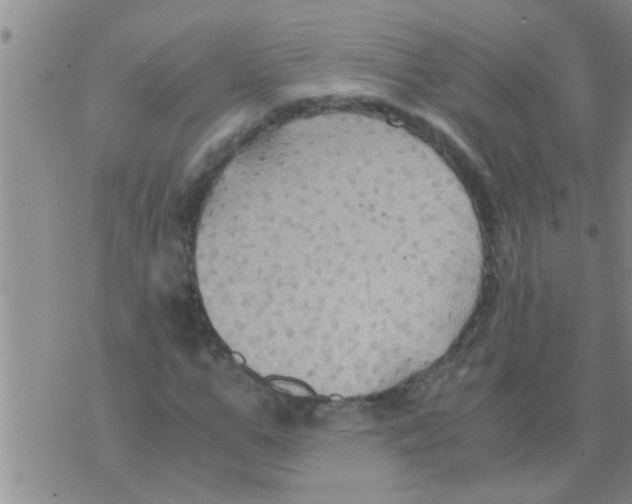 X0000075890967200610151747