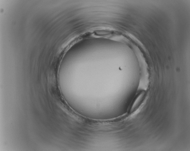 X0000075890969200610151747