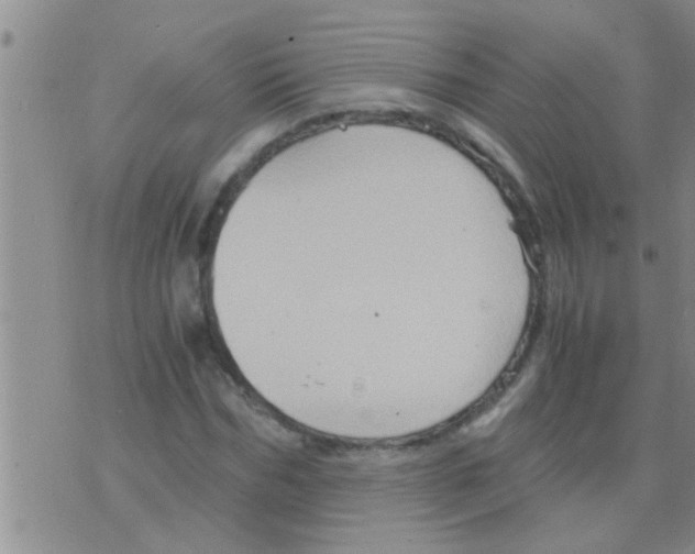 X0000075890970200610151747