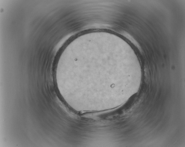 X0000075890972200610151747