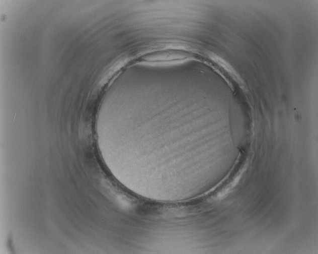 X0000075890977200610151747