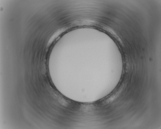 X0000075890978200610151747