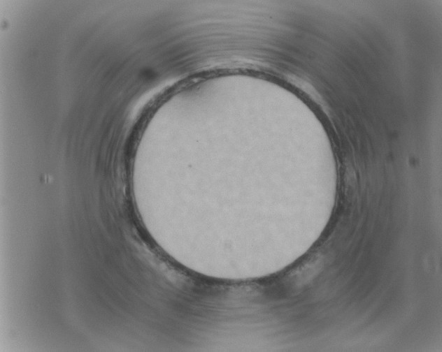 X0000075890979200610151747