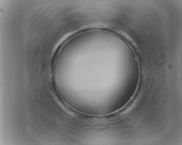 X0000075890981200610151747