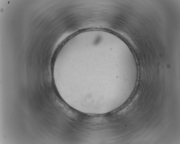 X0000075890982200610151747