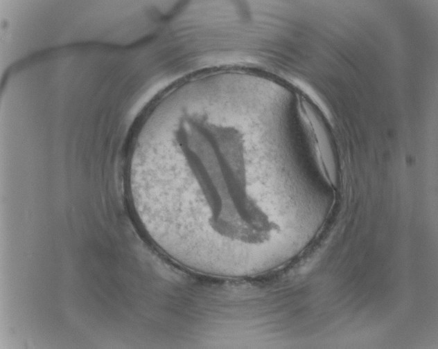 X0000075890983200610151747