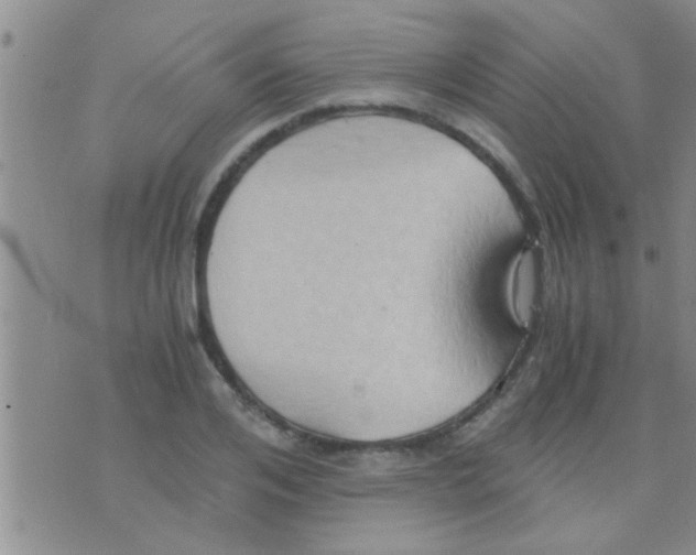 X0000075890984200610151747