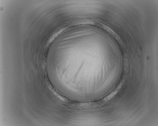 X0000075890985200610151747