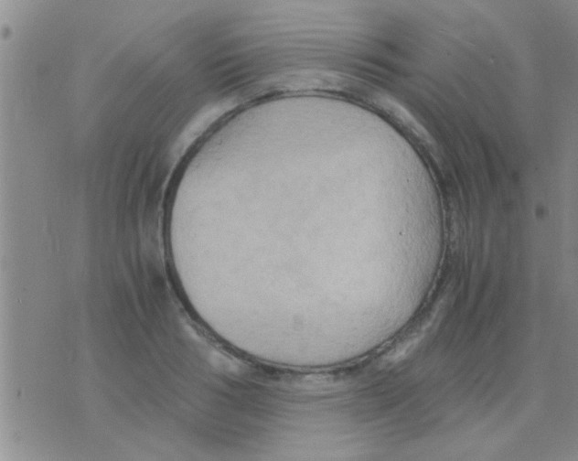 X0000075890986200610151747