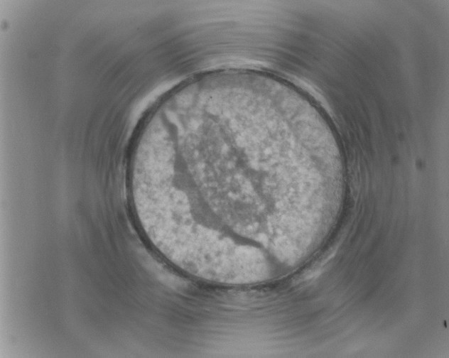 X0000075890987200610151747