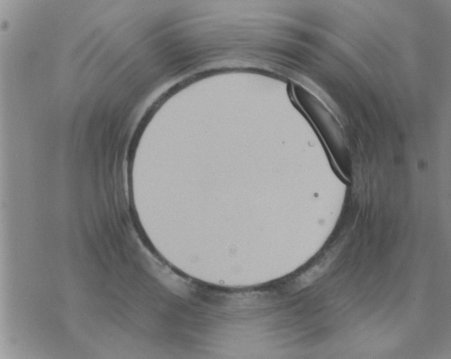 X0000075890988200610151747