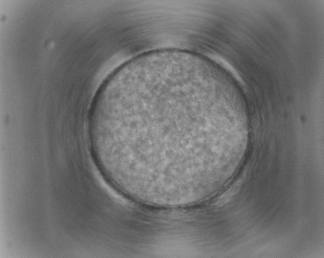 X0000075890991200610151747