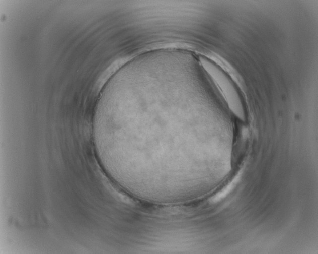 X0000075890993200610151747