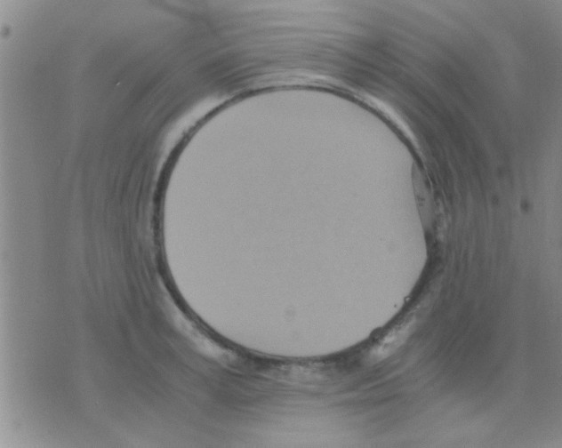 X0000075890995200610151747