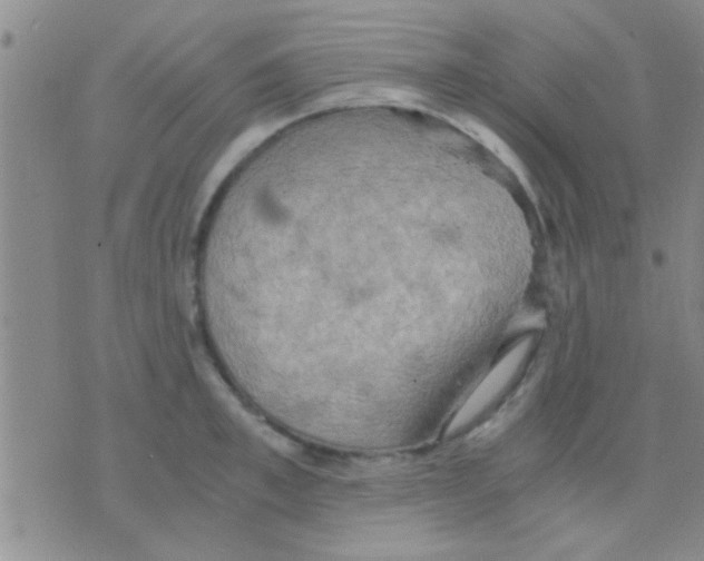 X0000075890997200610151746