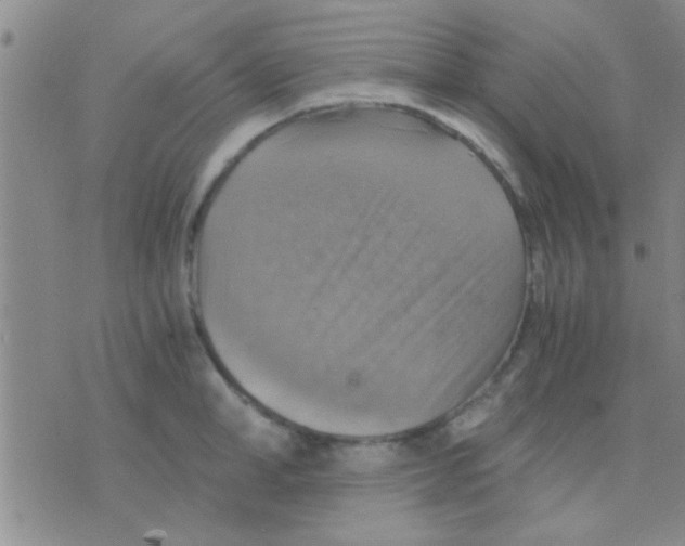 X0000075890998200610151746