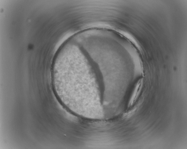 X0000075890999200610151746