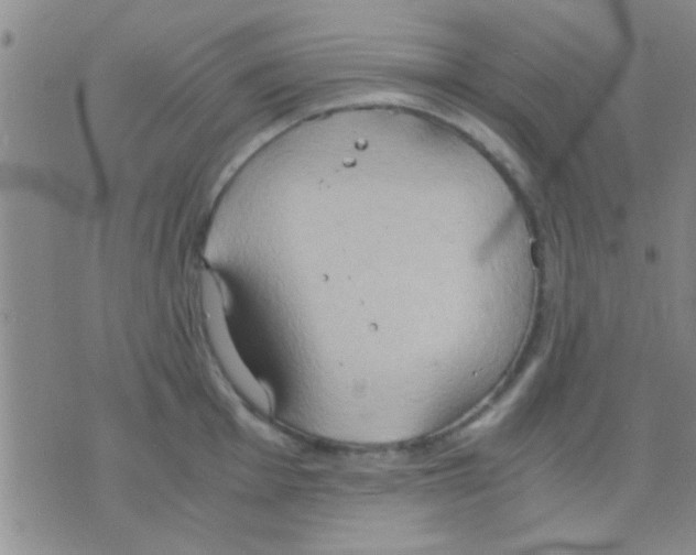 X0000075891001200610151746