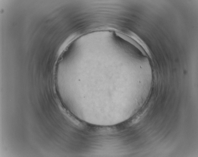 X0000075891002200610151746