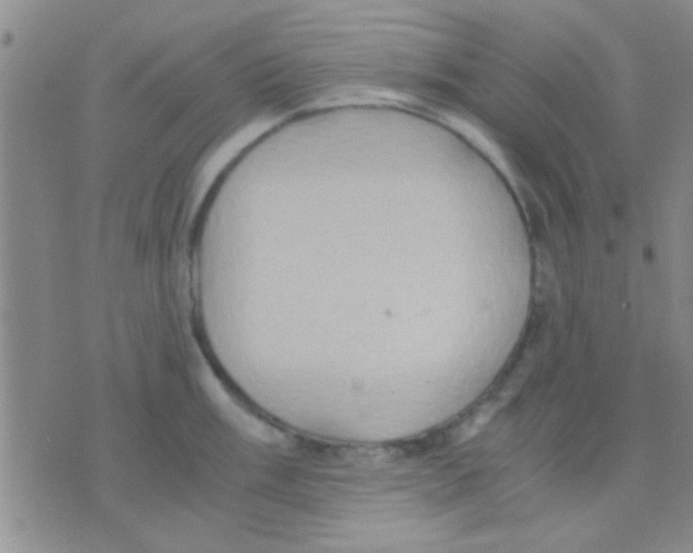 X0000075891003200610151746