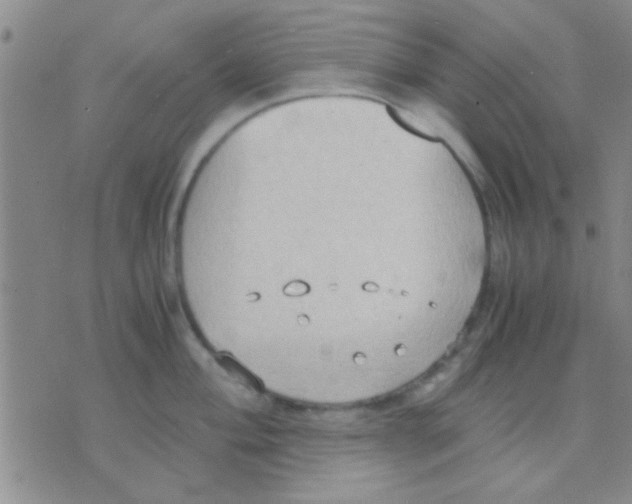 X0000075891004200610151746