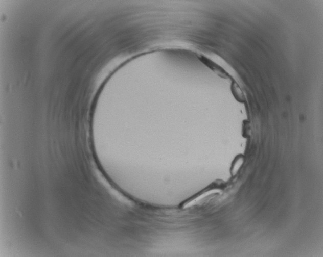 X0000075891005200610151746