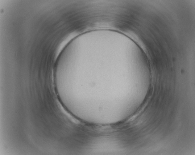 X0000075891006200610151746