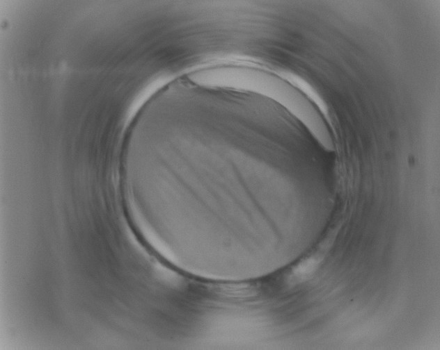 X0000075891007200610151746