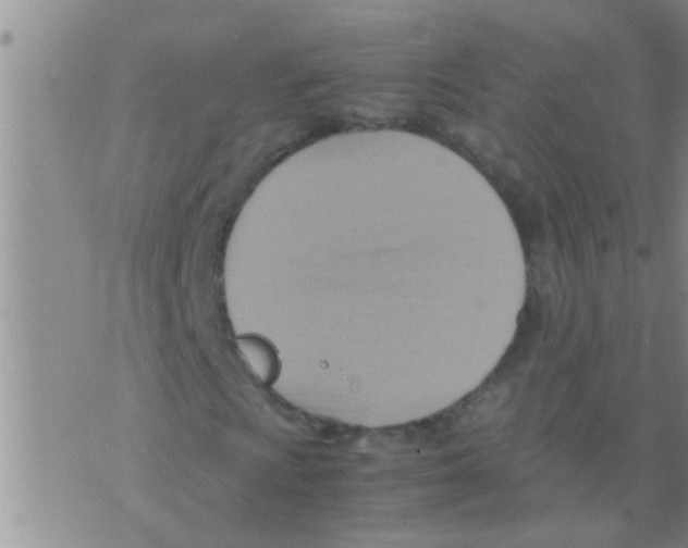 X0000075891009200610151746