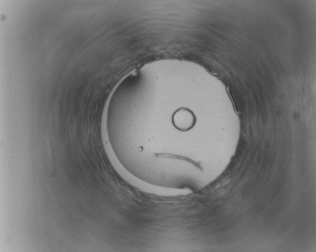 X0000075891010200610151746