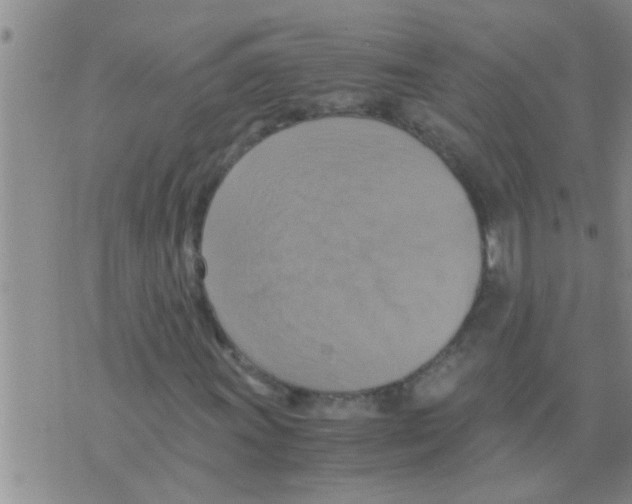 X0000075891011200610151746