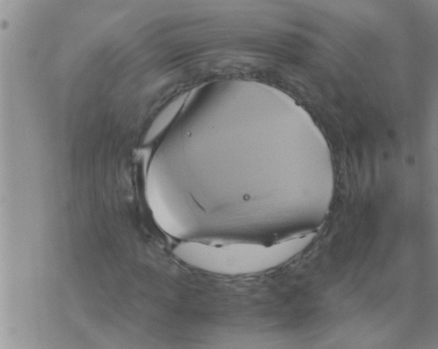 X0000075891013200610151746