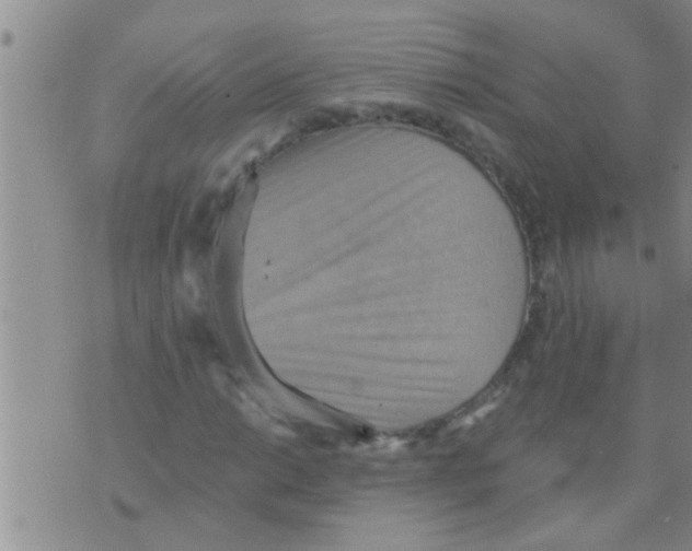 X0000075891014200610151746