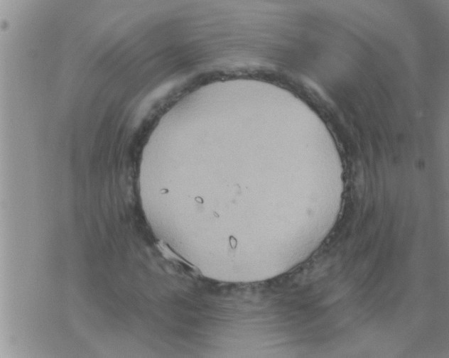 X0000075891016200610151746