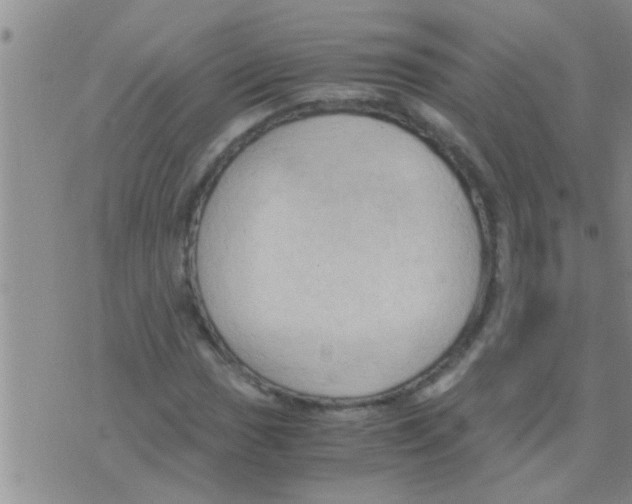 X0000075891017200610151746