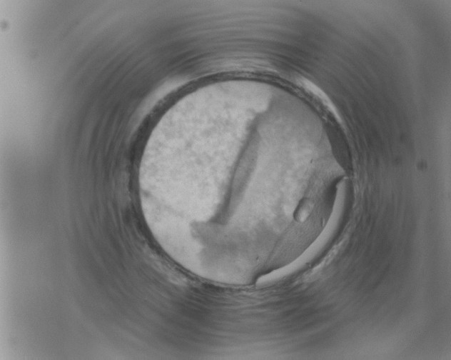 X0000075891019200610151746