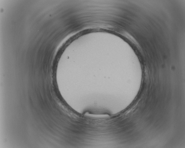 X0000075891020200610151746