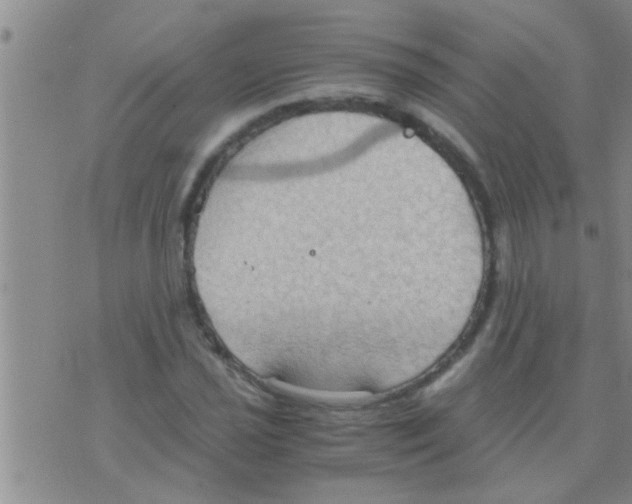 X0000075891021200610151746