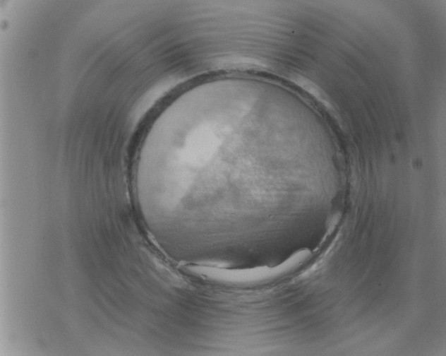 X0000075891022200610151746