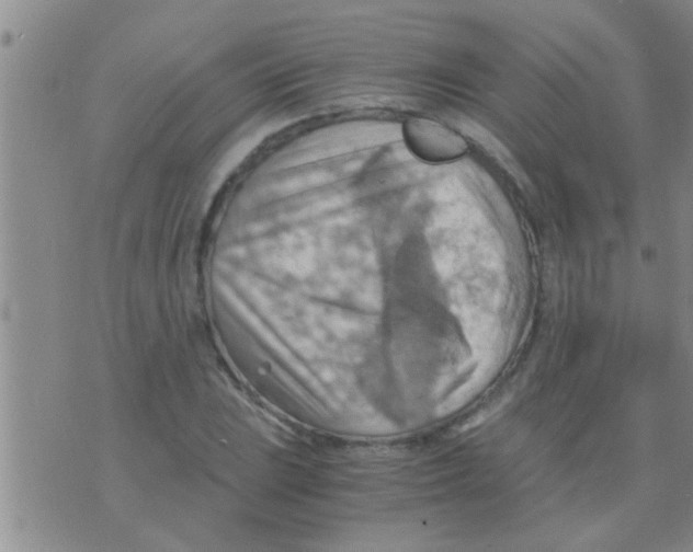 X0000075891023200610151746