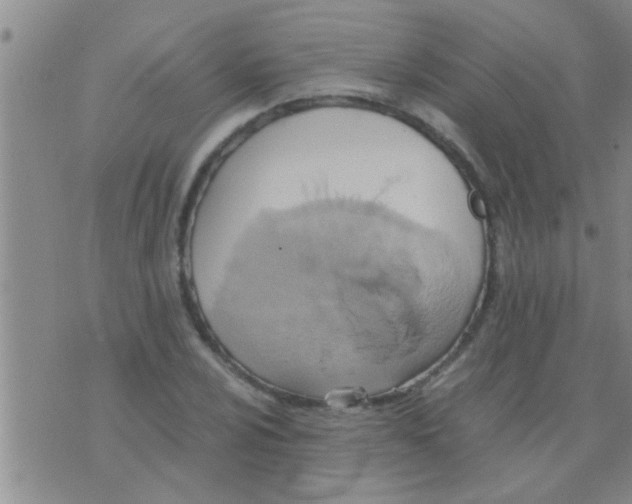 X0000075891024200610151746