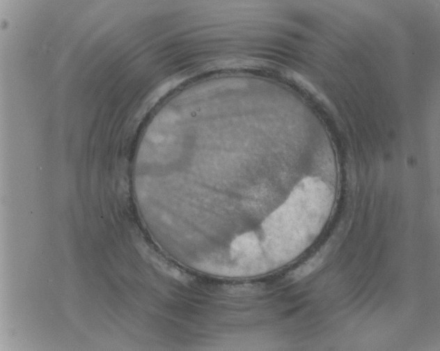 X0000075891025200610151746