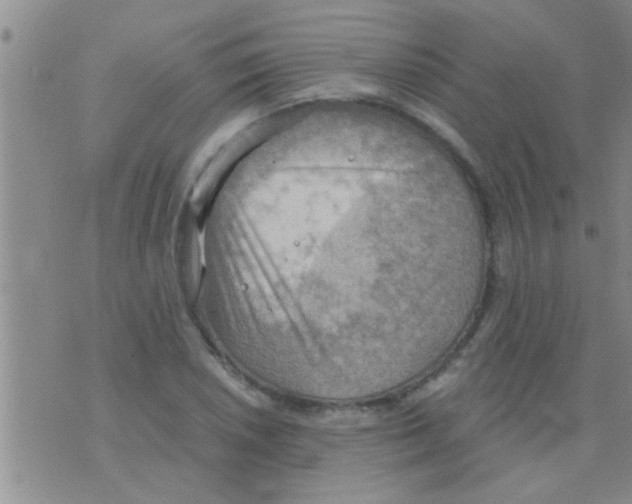 X0000075891026200610151746