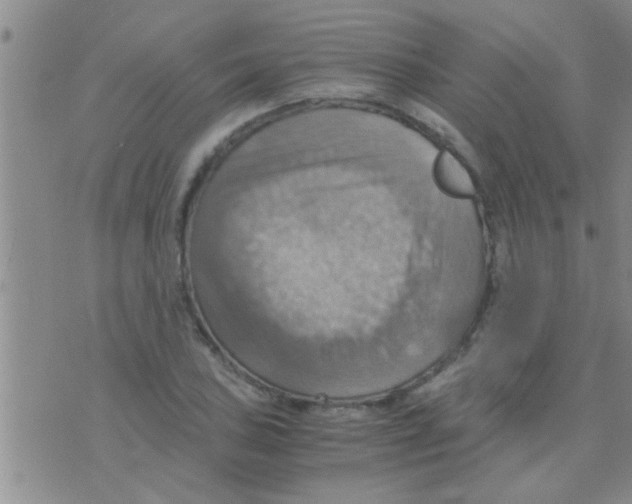 X0000075891027200610151746